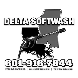 Delta Softwash logo